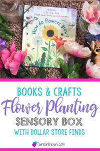 flower planting sensory box