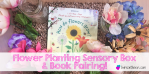 flower planting sensory box