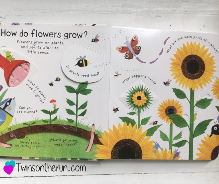 Books & Crafts: Flower Planting Sensory Box - Twins on the Run