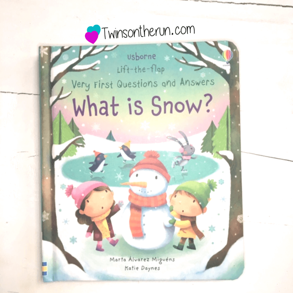 what is snow book