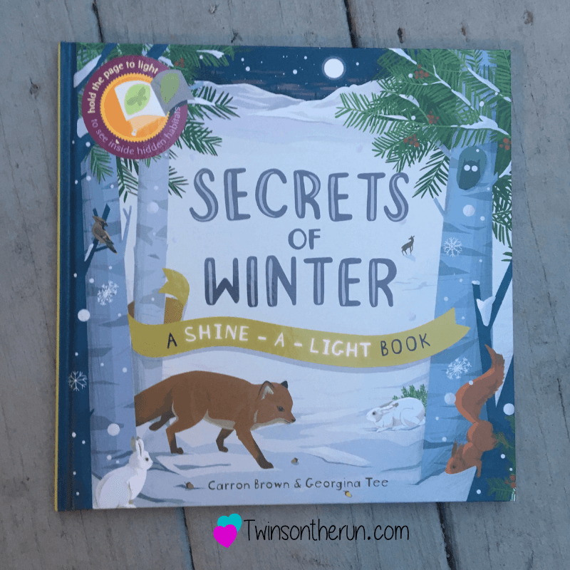 Books & Crafts: Snow Theme Sensory Box! - Twins on the Run