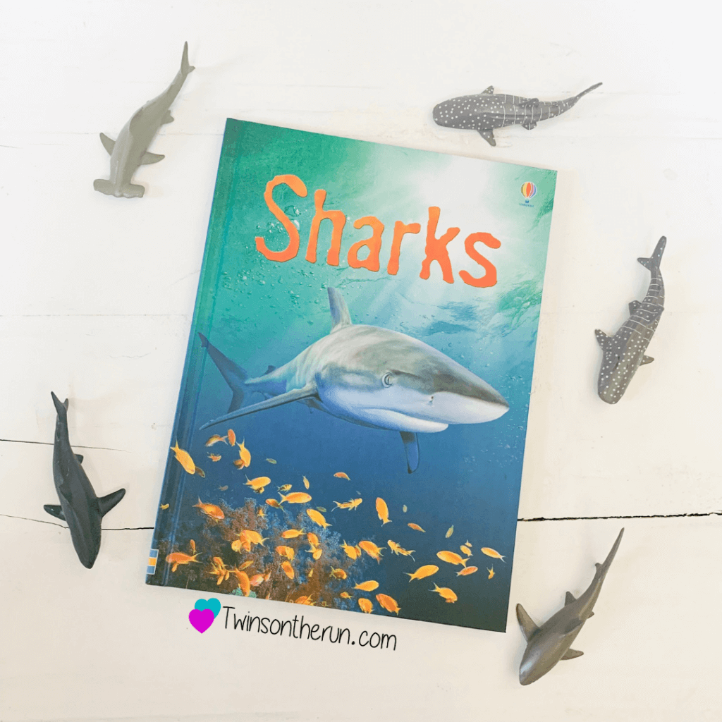 Usborne Books & More Sharks beginner reader