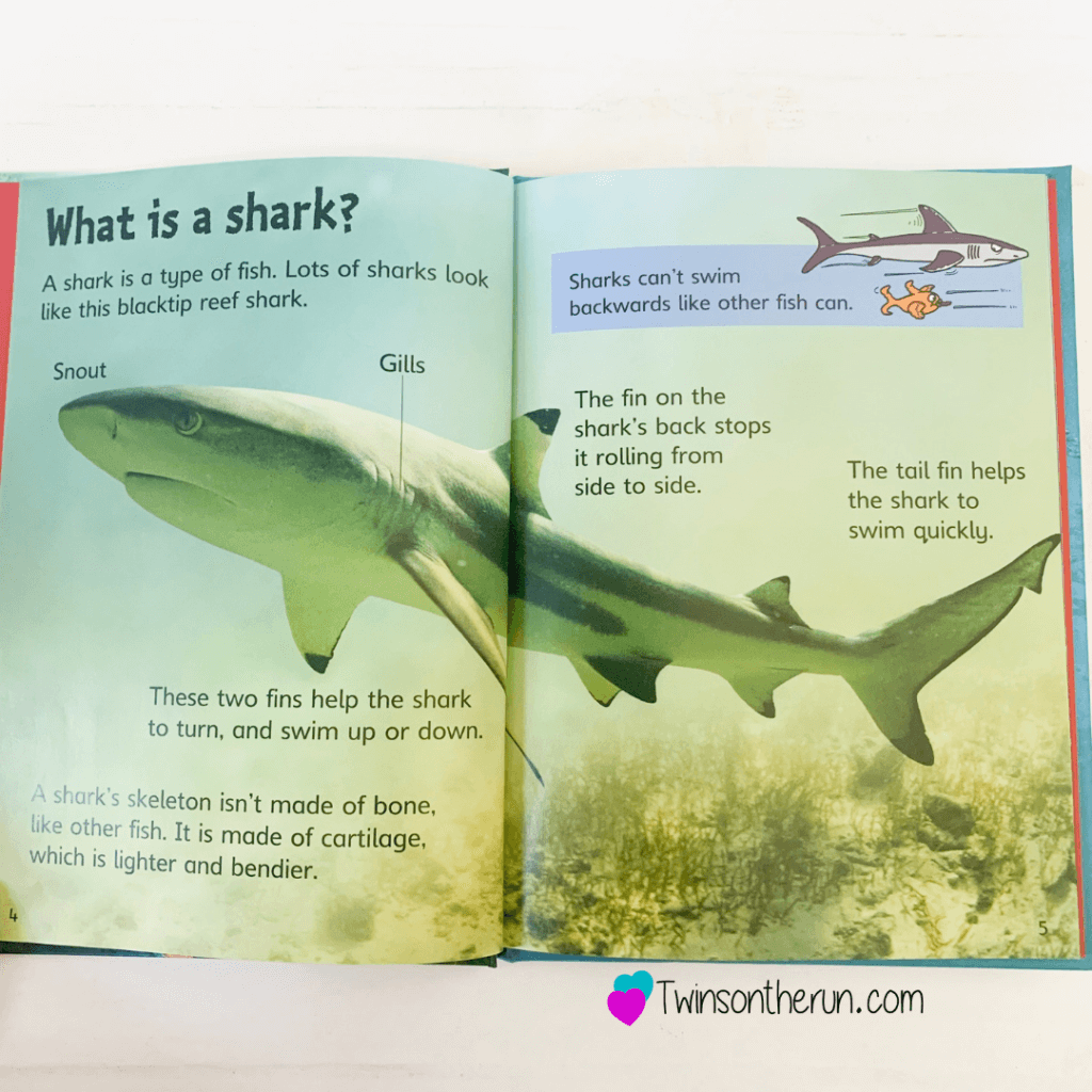 Usborne Books & More Sharks beginner reader