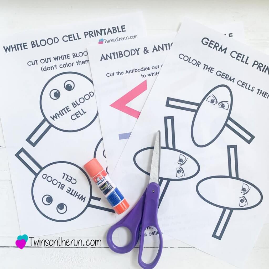 white blood cell and virus free printable activity